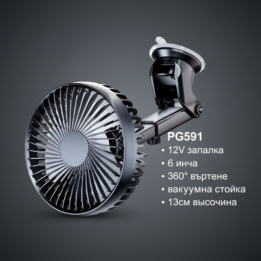 PG591 инфографика